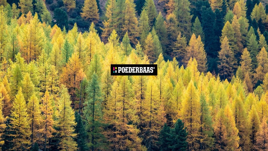 NEW ARRIVALS!🔥 - mailchi.mp/569e7887a944/d…