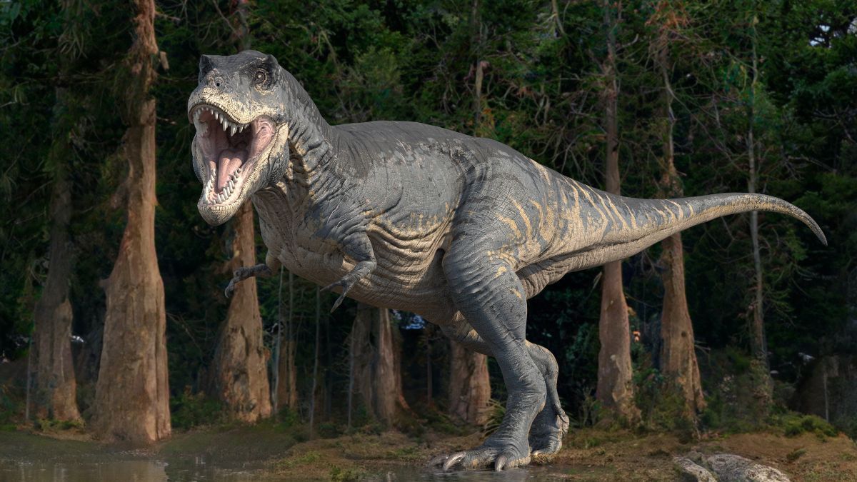 maximaxoo's tweet photo. #History #Science: why did #TRex have such #TinyArms? Apparently, its arms forgot to grow with the rest of its body!
👁 ► https://t.co/FCzxREhj3v ◄ via @LiveScience https://t.co/qPGxQsYJtN