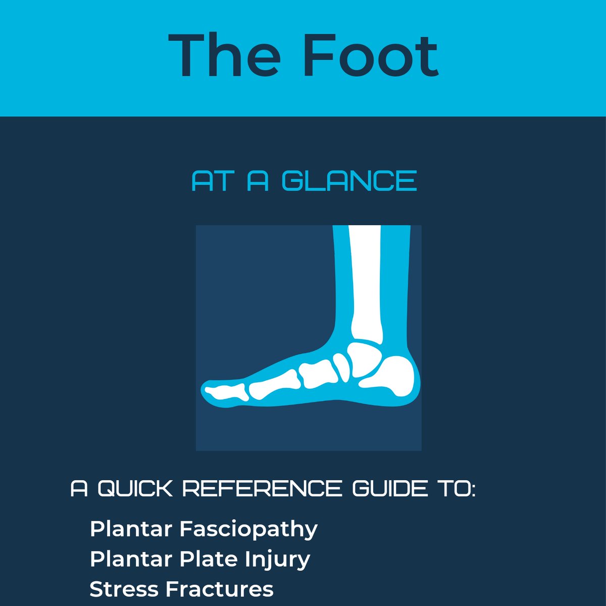 physiojack's tweet photo. THE FOOT!

Pre-orders are available now for The Foot At A Glance booklet by @zoewilsonpod 

9 conditions:
- Presenting Features
- Treatment Principles

Get yours with a 10% pre-order discount here: https://t.co/pXPgYuUYFV

Learn more 🧵👇 https://t.co/UESkEYxxDc