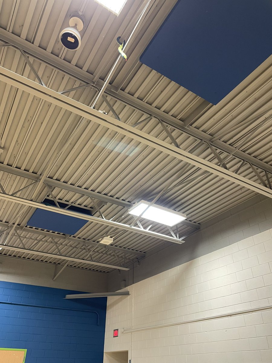 Over/under on how many kids tell me there’s a snake on the ceiling today 😅