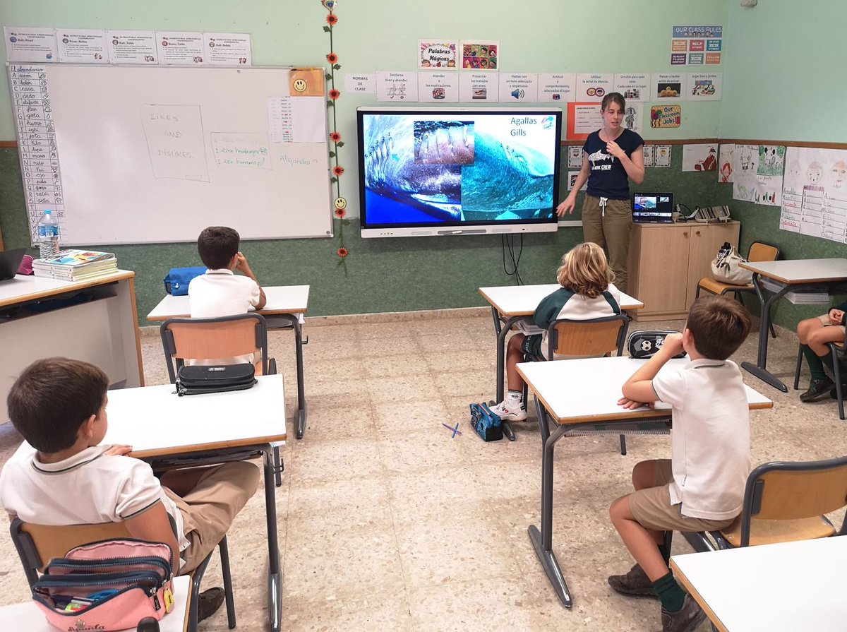 vicentgadea's tweet photo. Hoy, en La Devesa School, nos ha visitado un equipo de biólogas marinas, especialistas en tiburones de la ONG 
@Sharks4Kids (Florida). 

Es increíble el trabajo de @BiminiSharkGirl y su equipo 🦈 🦈

Gracias @annkozma723 y @MicrosoftFlip por la oportunidad.

#claustrovirtual https://t.co/kA183LTyMj