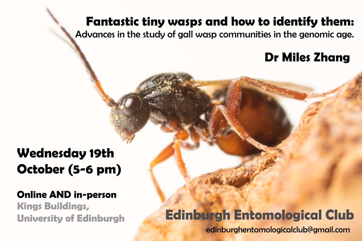 Reminder for tomorrow’s talk with @ymilesz ! Email us to join online, or meet us in person at Kings buildings.