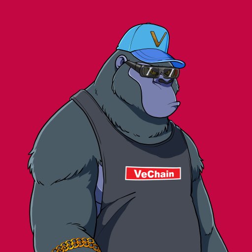 mikeyleo_00's tweet image. Just added this @madvapesnft on #VeChain

Only 7250 $VET (about $170 usd). Seemed like a steal

Your move $SOL bros. #Solana to #VeChain