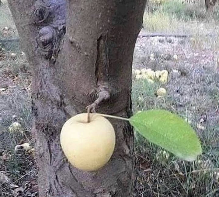 'Bir ömür boyu koşarsın, yetiştiğin sadece nasibindir.'