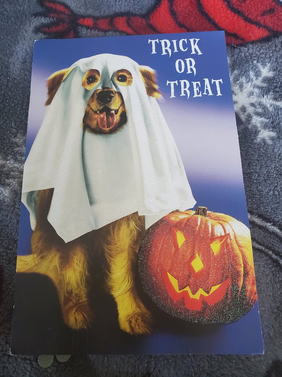 Entr_My_Wrdrobe's tweet photo. Thanks so much, Jet!! Happy Halloween!! Big hugs, my friend!! π₯°π§‘π¦π»π·π
#HappyHalloween
#FirehawkMail
@JetRose1313 https://t.co/In9MQMEBRl