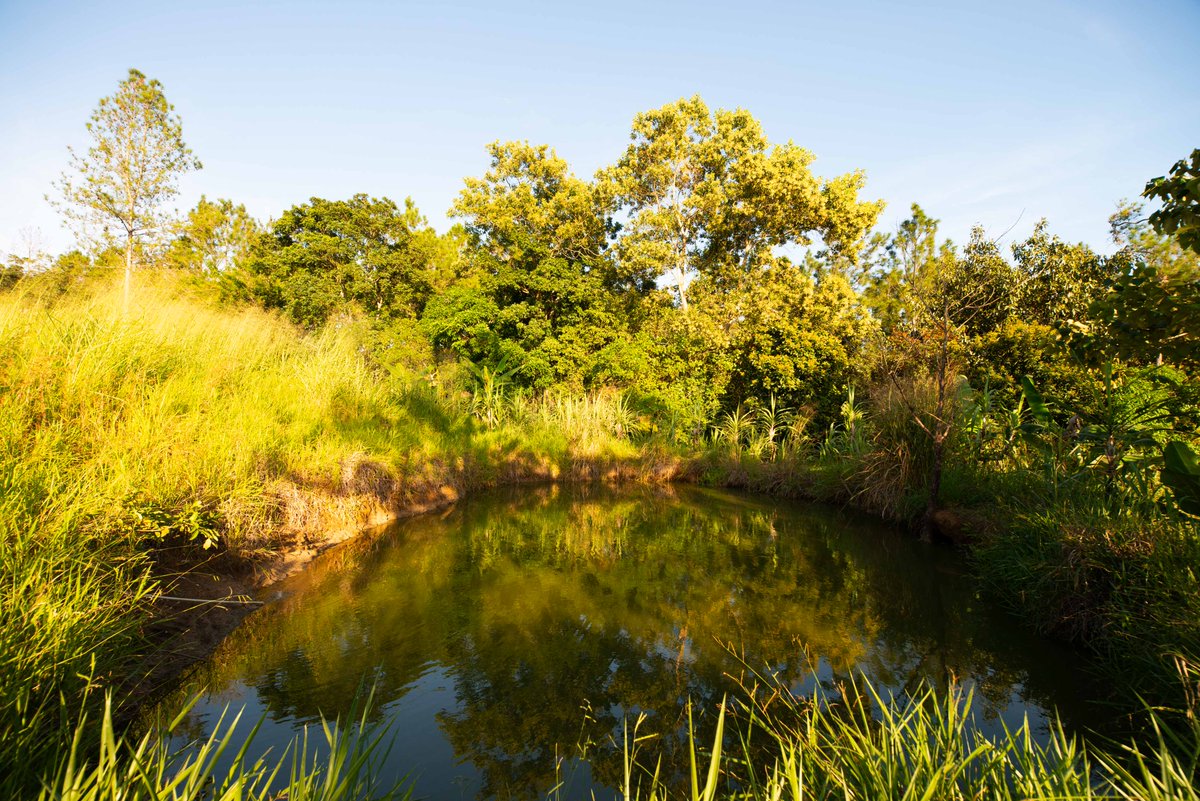 realunigold's tweet photo. $UGD is dedicated to implementing sustainability and environmental policy to minimize environmental risks and ensure appropriate considerations are integrated into all aspects of business. https://t.co/6fctmvOB0a