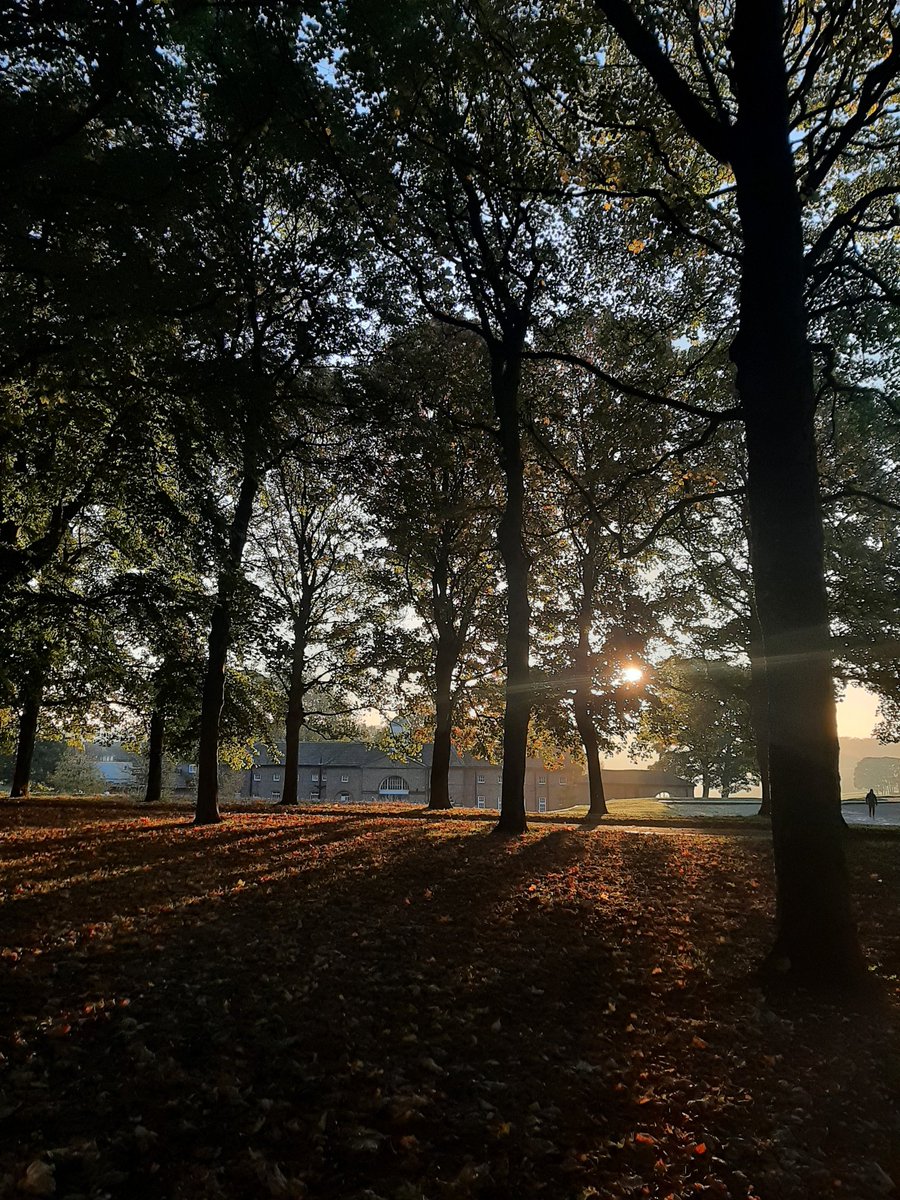 What a place to work 🌞