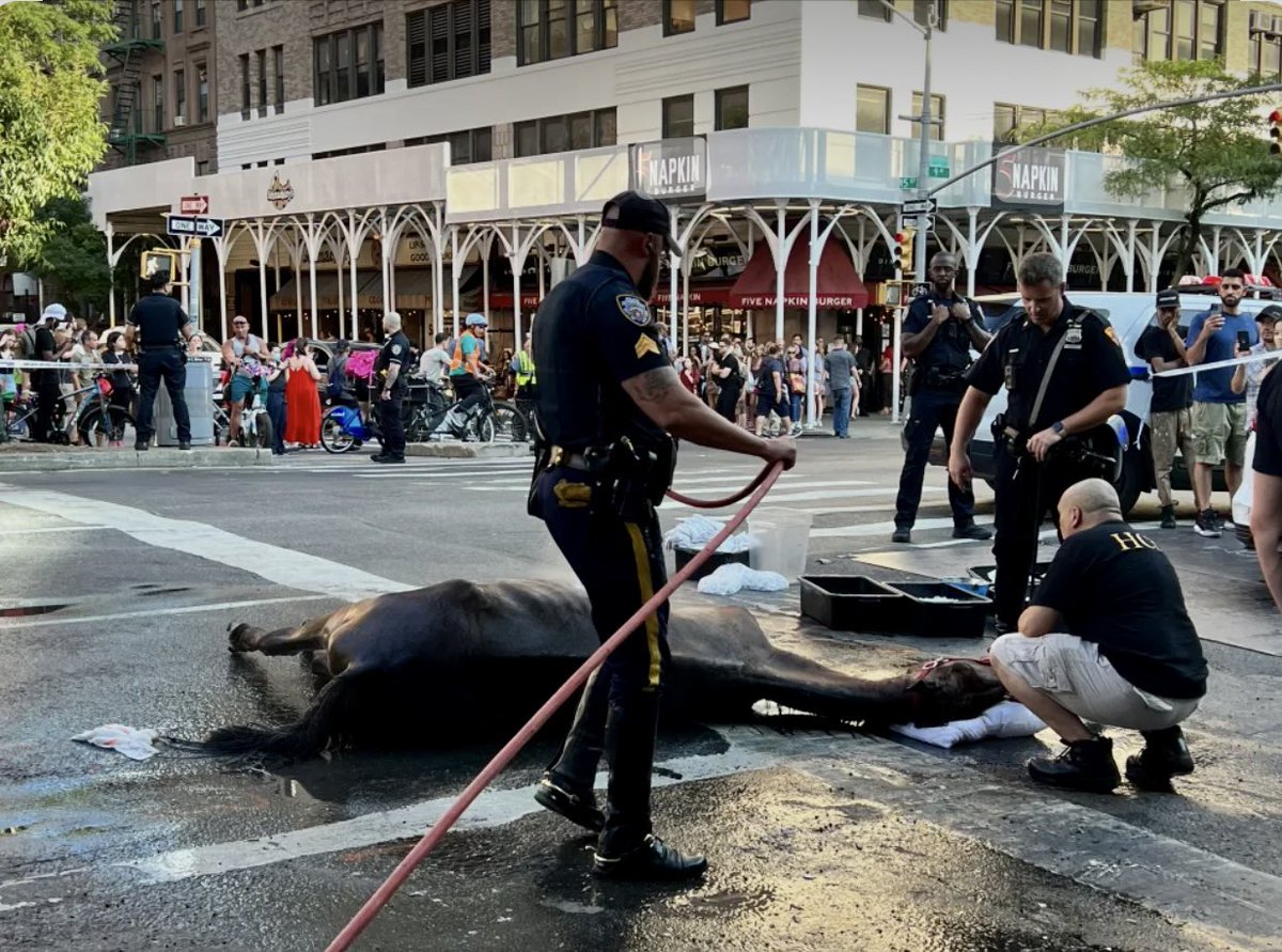 Friends can tell friends when they’re wrong. TWU100 perpetuating animal abuse is wrong. Don’t be a patsy; you can still support the other 99% of their work. In your questionnaire &amp; interview you told <a href="/theanimalvoters/">Voters For Animal Rights</a> you’d co-sponsor legislation to #BanHorseCarriages. Now do it!