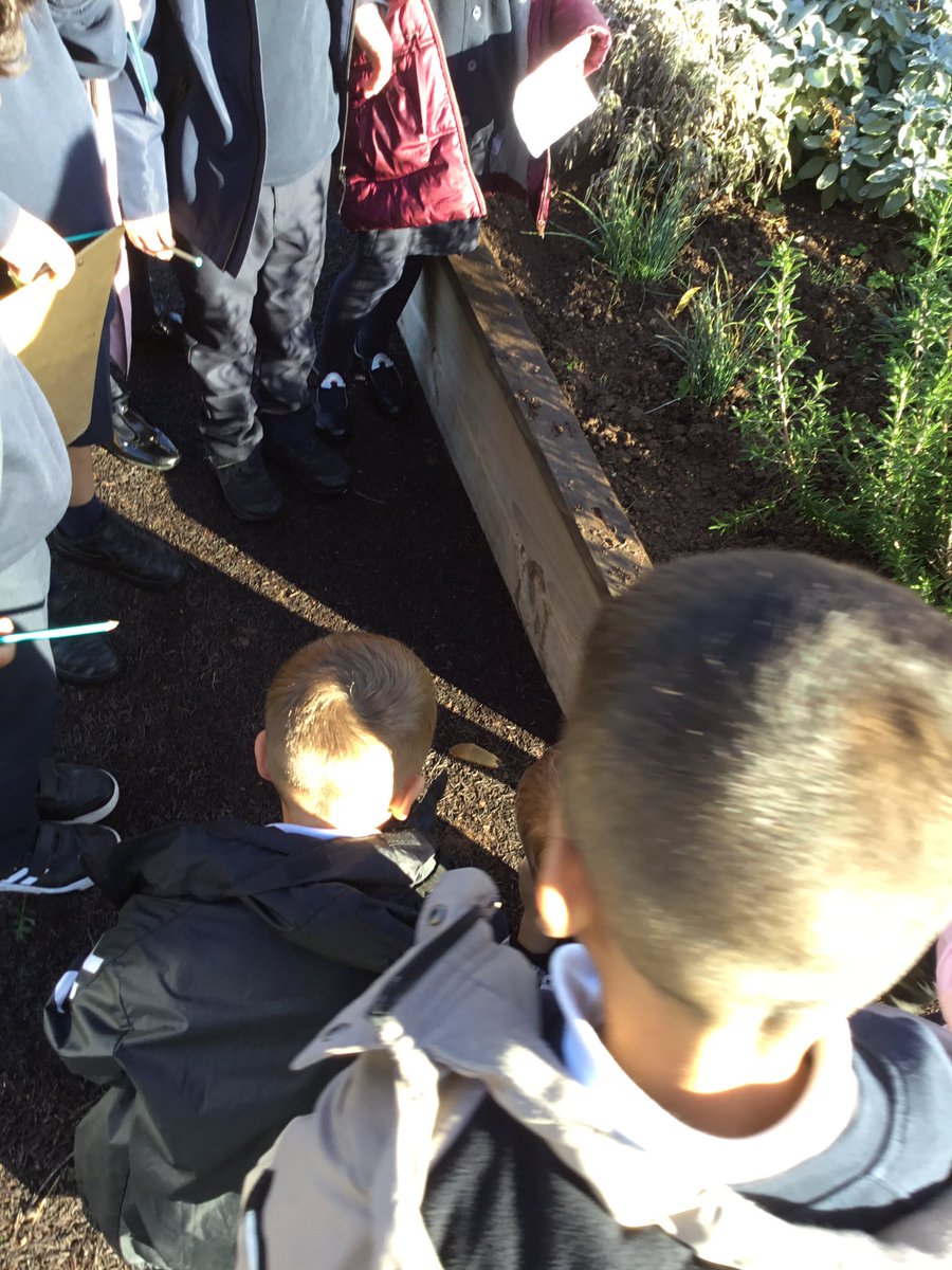 Miss Finn (@misssfinn) on Twitter photo We started our Environmental Review today on Biodiversity as part of our <a href="/EcoSchoolsWales/">Eco-Schools Wales</a> action plan. We have thought of lots of ideas to help us to take action to improve our environment! @ecoschoolsaimee <a href="/JubileeEco/">JPPS Eco Committee</a> #jppsthrive We started our Environmental Review today on Biodiversity as part of our <a href="/EcoSchoolsWales/">Eco-Schools Wales</a> action plan. We have thought of lots of ideas to help us to take action to improve our environment! @ecoschoolsaimee <a href="/JubileeEco/">JPPS Eco Committee</a> #jppsthrive