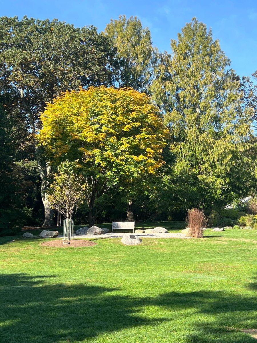 🌳 What is your favorite spot at the Bartlett?

#bartlettarboretumandgardens #stamford #secretspot #gardens #stamfordct #getoutside #wordgarden #nature #naturelover #gardenlover #stamfordlocal