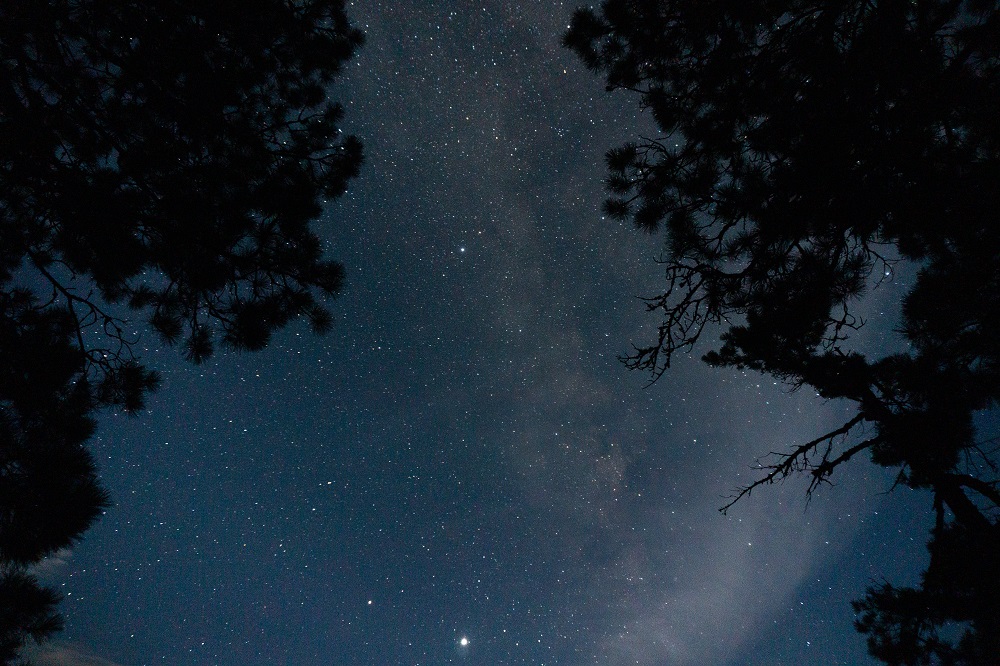 CraigleithPP's tweet photo. Camping under starry skies isn't just beautiful. It's also good for your health: https://t.co/hYk1rgsIyC

Have you had a particularly good night's sleep at Craigleith? https://t.co/wDu9tStVVT