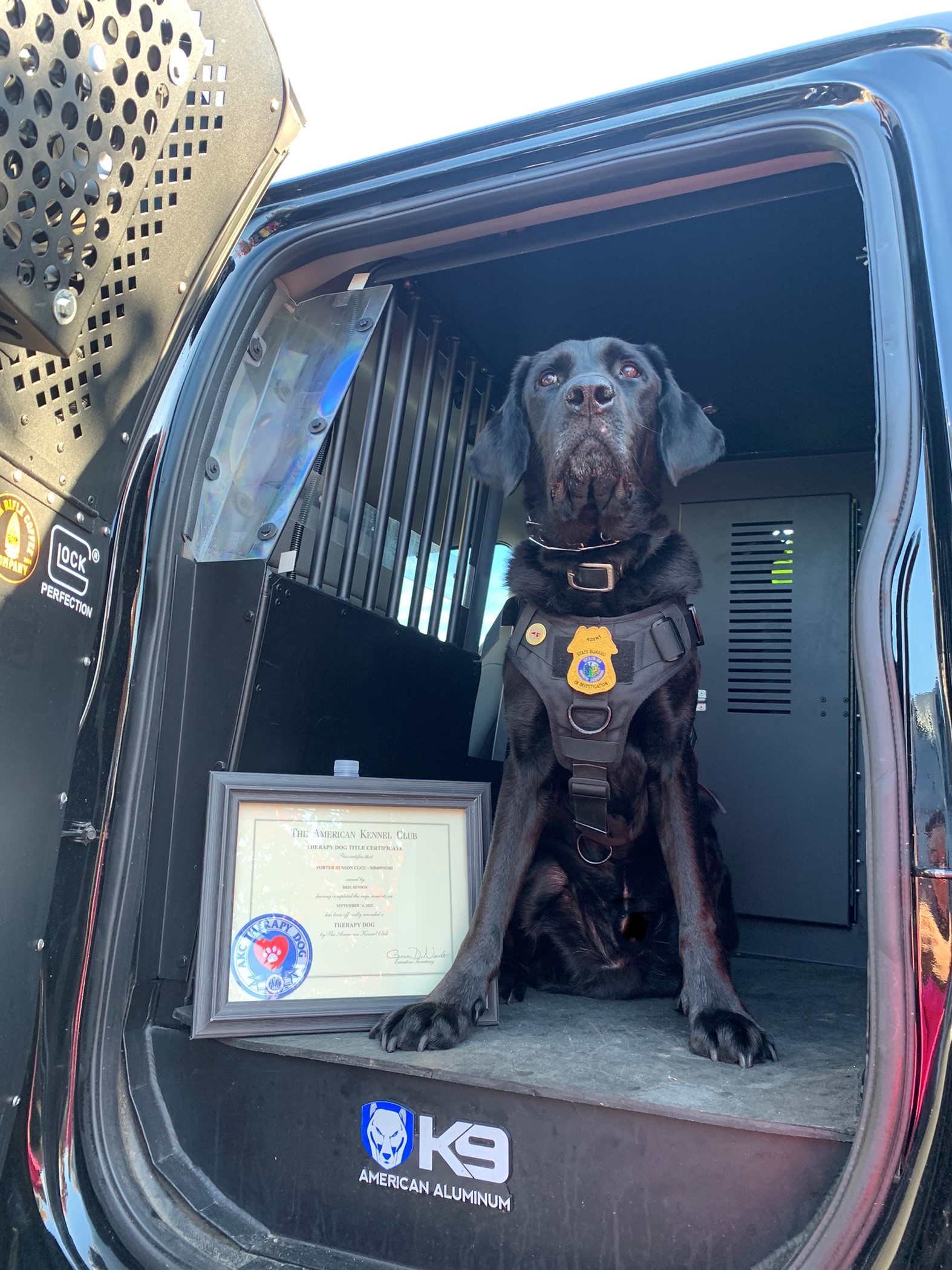 NC SBI on X Congratulations to SBI Special Agent K9 Porter who recently earned the title of American Kennel Club AKC Therapy Dog. Porter earned this title by visiting local schools participating