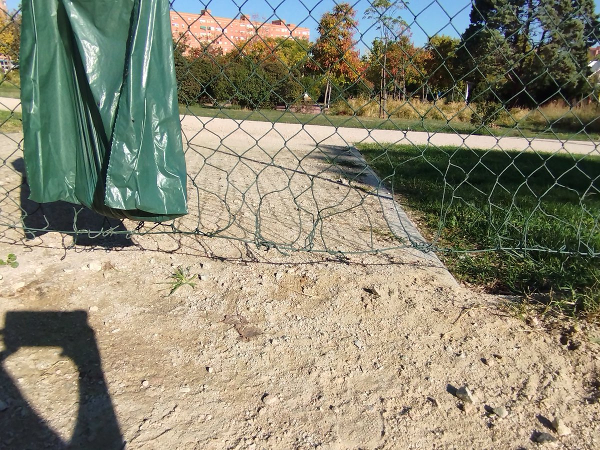 Vallecas es el distrito de #Madrid con más perros censados,pero debe ser que el <a href="/MADRID/">Ayuntamiento Madrid</a> no cree que nuestros perretes merezcan recintos higiénicos y seguros. Vergüenza de gestión de <a href="/AlmeidaPP_/">José Luis Martínez-Almeida</a> de las áreas públicas #AreaCaninaCampodelaPaloma #Vallecas #AyuntamientoDeMadrid