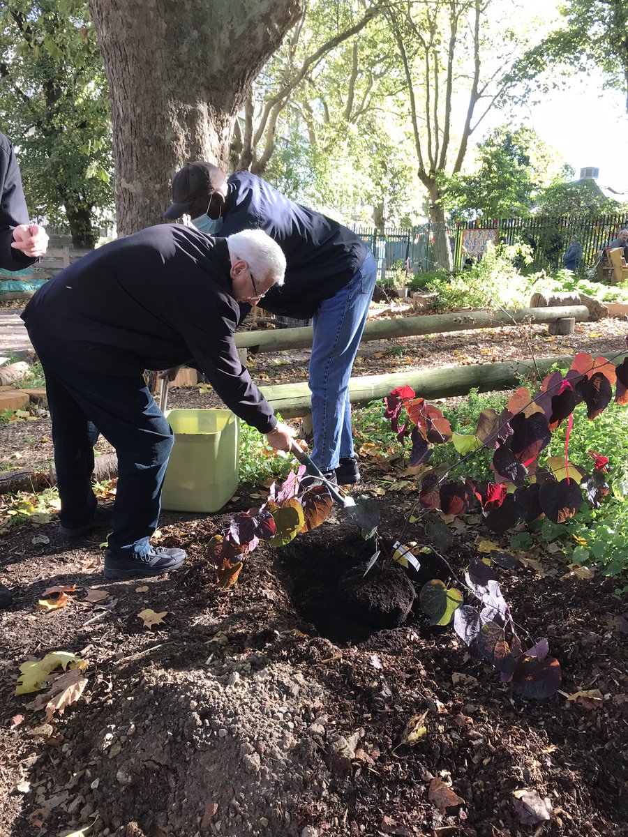 OctopusCN's tweet image. For me, words can’t express the joy of community tree planting in market road ‘wild and green’ garden with Islington Me Time. #mencap #islingtonparks