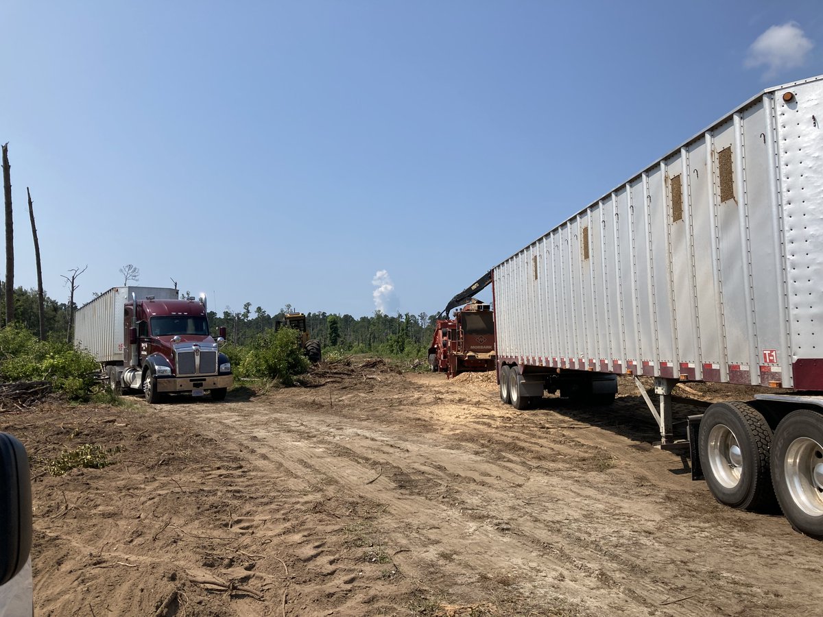 Researchers from Savannah River are partnering with state, federal, and private land managers to utilize remaining non-merchantable timber left behind after timber regeneration harvests to power the <a href="/SRSNews/">SRS News</a> biofuel power generation plant. #NationalForestProducts #USFS #Biofuel