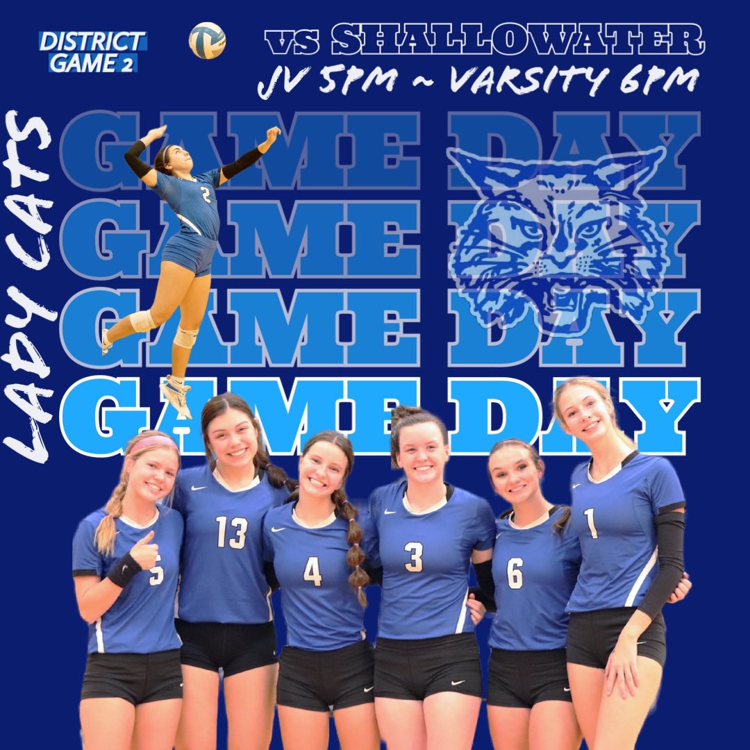 ladycatvball's tweet photo. https://t.co/NQV2XlCVPu