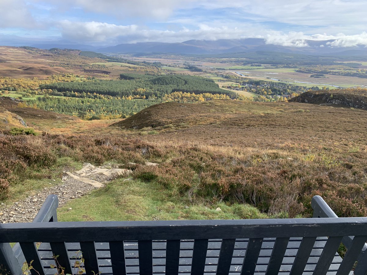 doctorsnoddy's tweet photo. It took a lot of getting to but I hope fellow #benchlovers will agree the view from this pew is magnificent #pewswithviews #CreagBheag #Kingussie @MyFaveBench https://t.co/XX1XobI41V