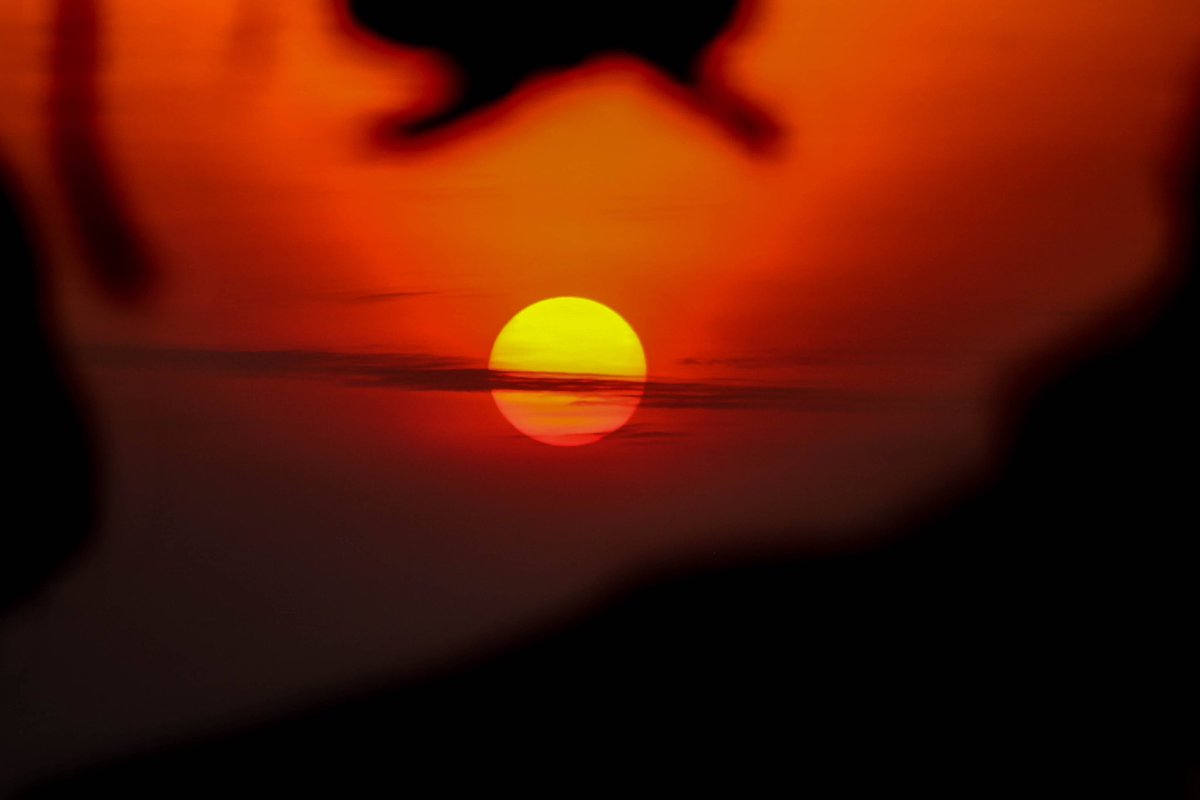 ugandauncovered's tweet photo. Never waste any amount of time doing anything when there is a sundown outside that you should be sitting under. 

Don’t hesitate looking up in the sky for the magical moment at the end of the day. 
#sunset #Ugandauncovered https://t.co/KF0fY4BbfB