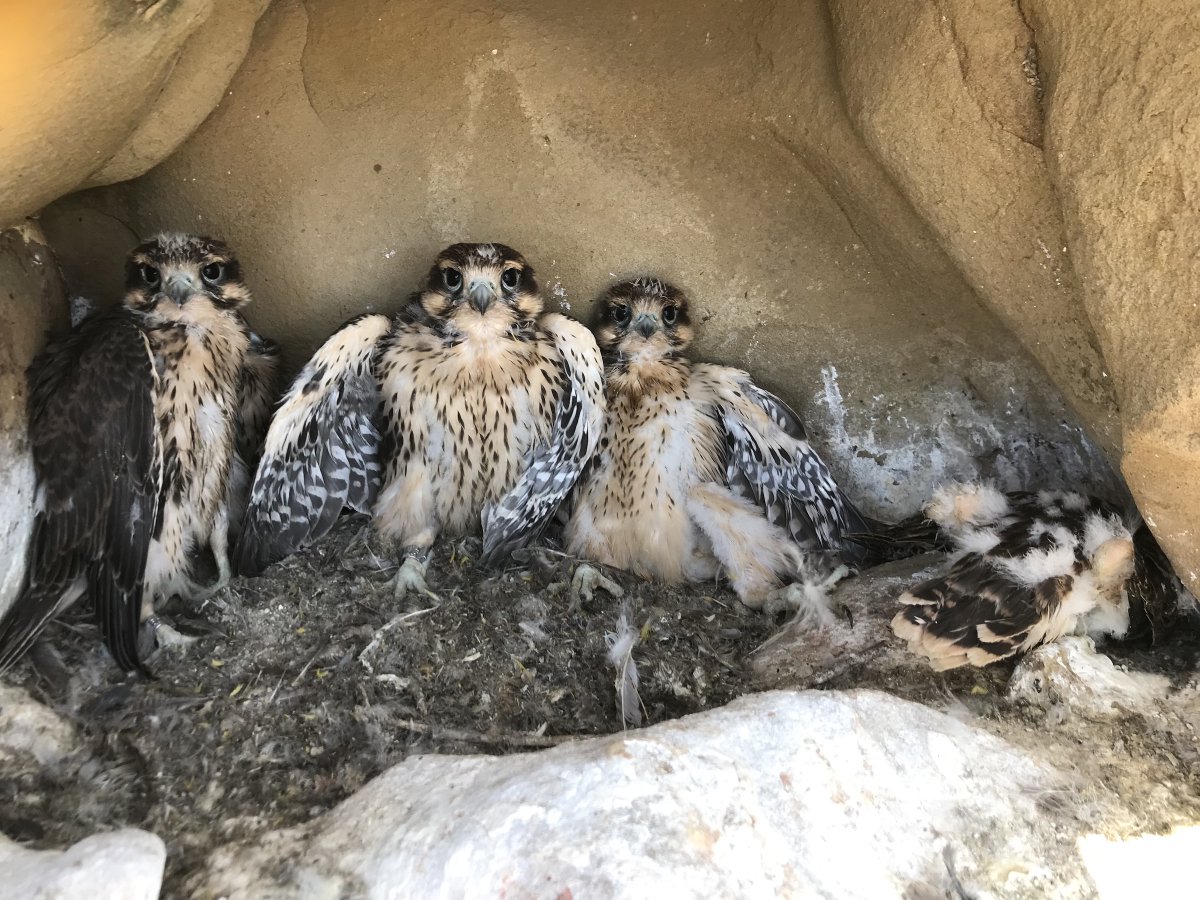 Lia Keener (@LiaKeener) / Posts / X