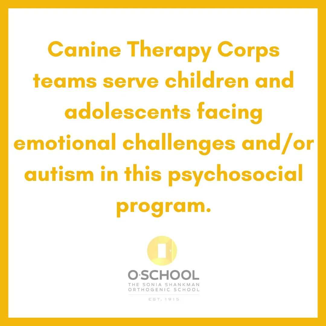 Canine Therapy Corps tweet media