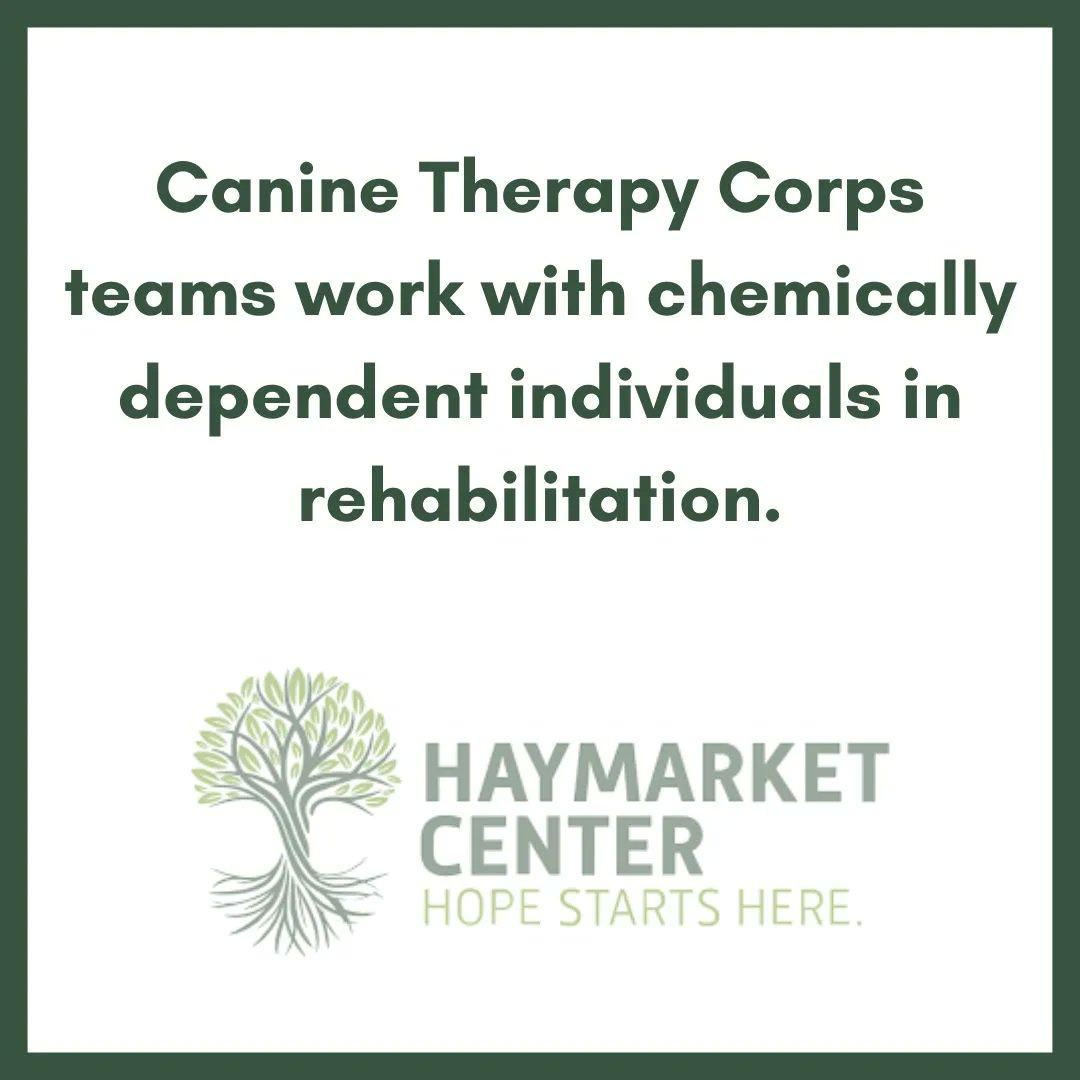Canine Therapy Corps tweet media