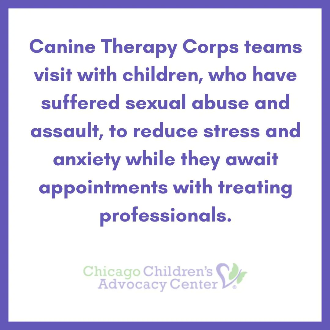 Canine Therapy Corps tweet media