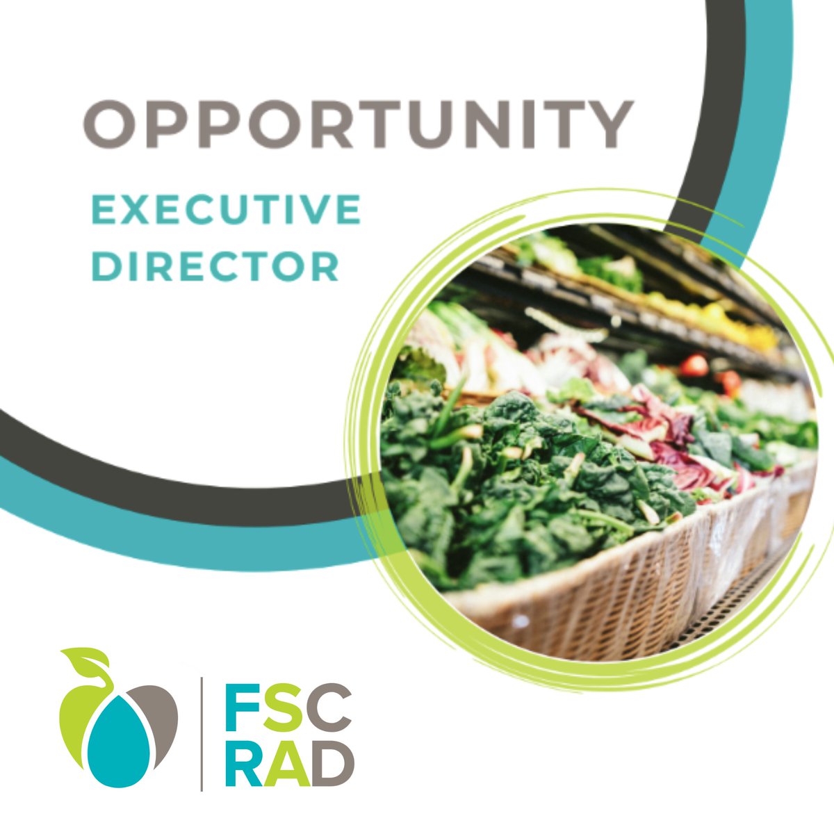 Spread the news — FSC is looking for a new Executive Director to lead our inspiring mission and be a part of food systems transformation! 🌱
Learn more: bit.ly/3TiI5Eo