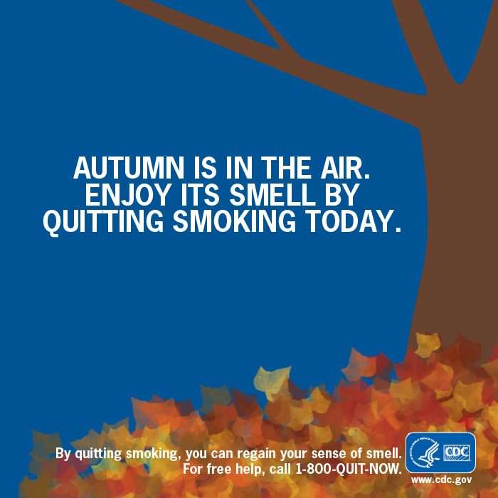 JCIowaPH's tweet photo. Crunchy leaves, bonfires, apple cider! We LOVE the smells of fall, by quitting smoking, you can regain your sense of smell. For free help call 1-800-QUIT-NOW. https://t.co/TP7nblivzE #quitlineiowa #quit4good https://t.co/t6EMJaQdF3