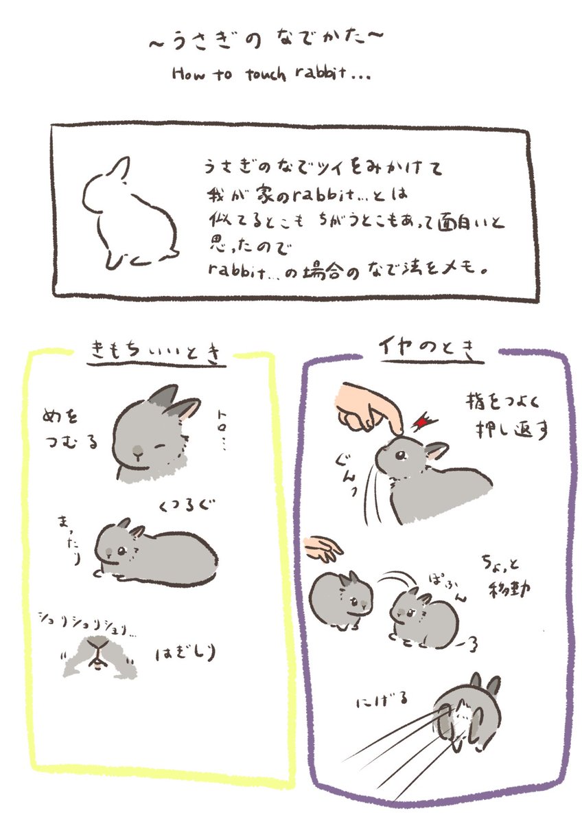 うさぎさんの撫でていい場所 Ngな場所解説イラストがかわいい 参考になる うちの子は と惚気も 液状化していく Togetter うさぎさんの撫でていい場所 Ngな場所解説イラストがかわいい 参考になる うちの子は と惚気も 液状化していく Togetter
