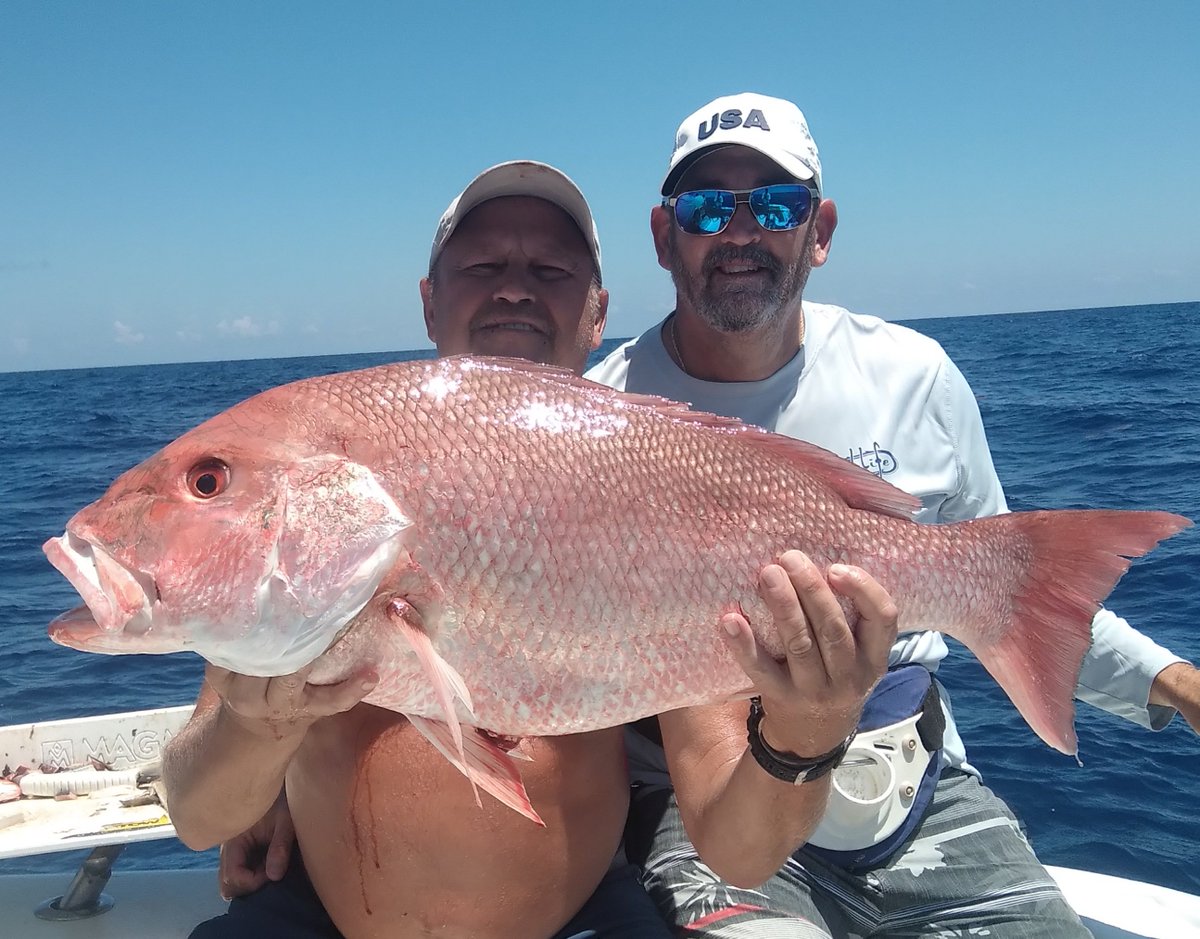 Gulf Assassin tweet media