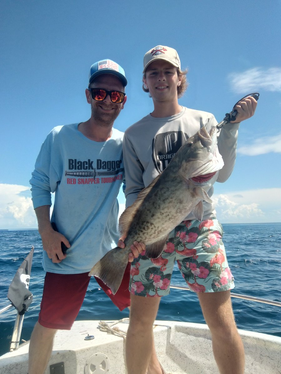 Gulf Assassin tweet media