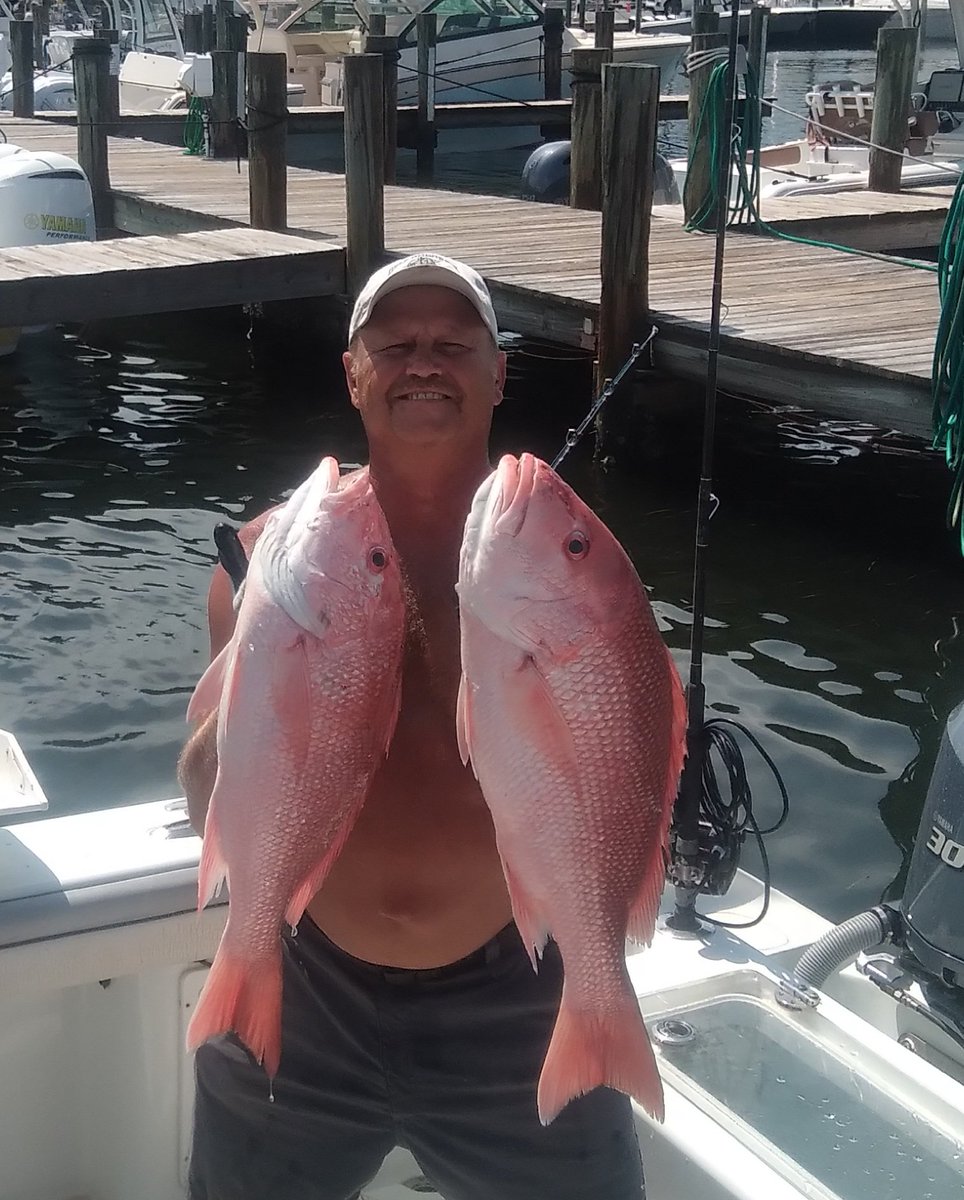 Gulf Assassin tweet media