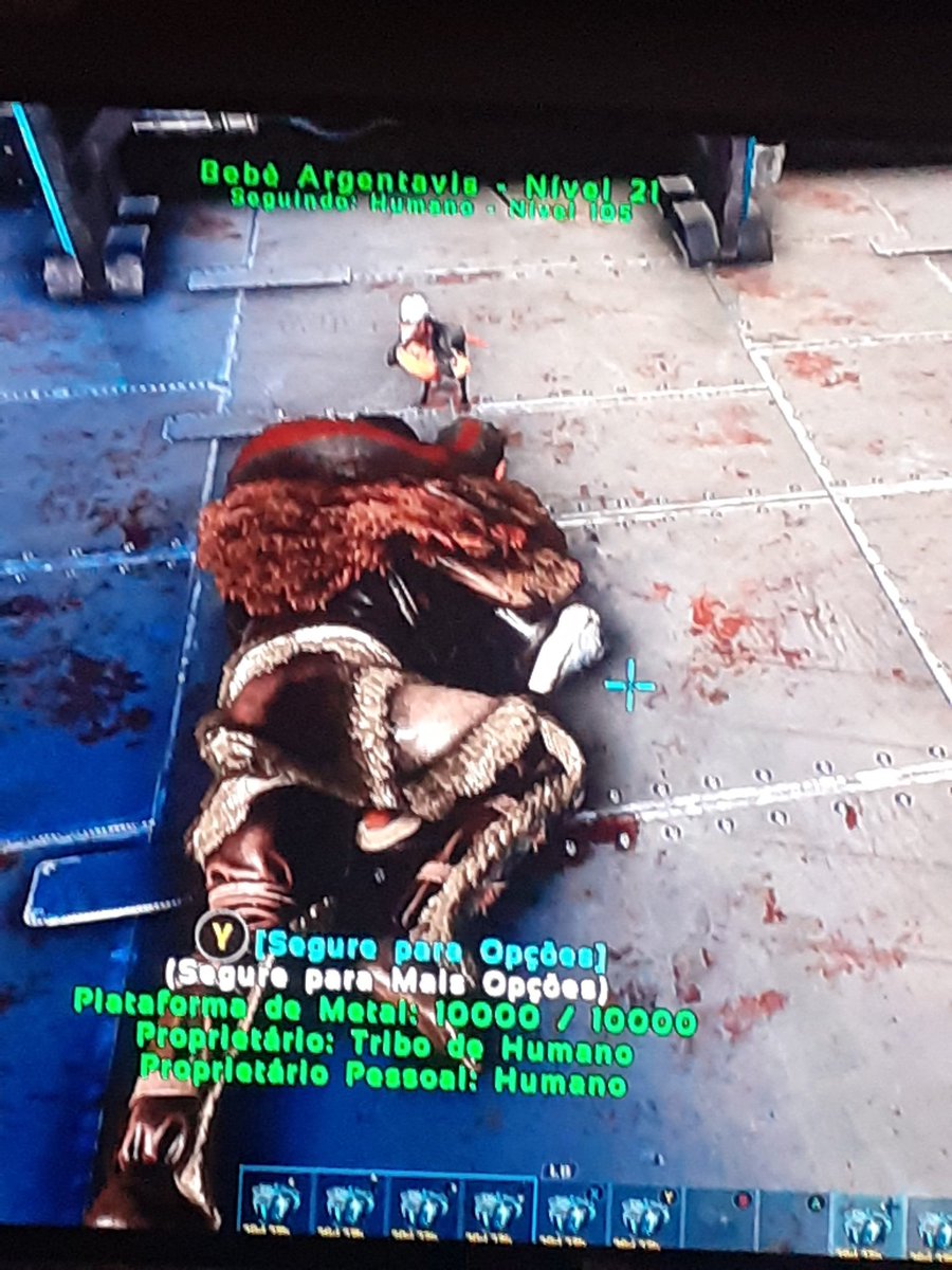 InsurdioX's tweet photo. @oMeiaUm Isso é bem triste amigo. MAS OLHA ESTE BEBÊ ARGENTAVIS QUE MANEIRO https://t.co/jsKFtj4HVS