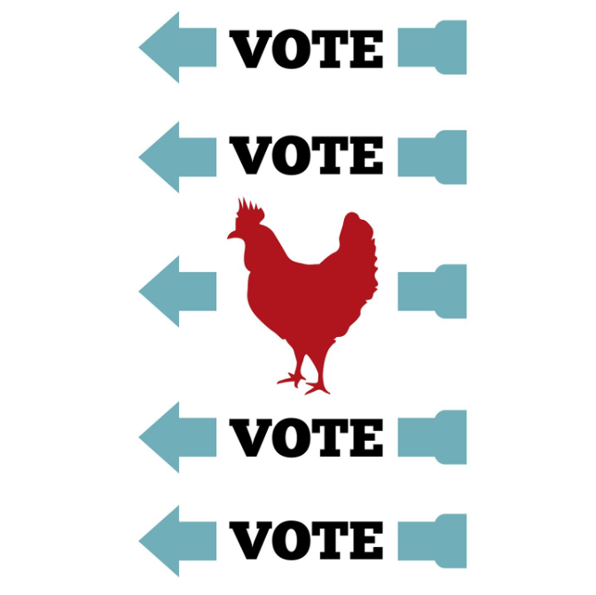 Proposition Chicken tweet media