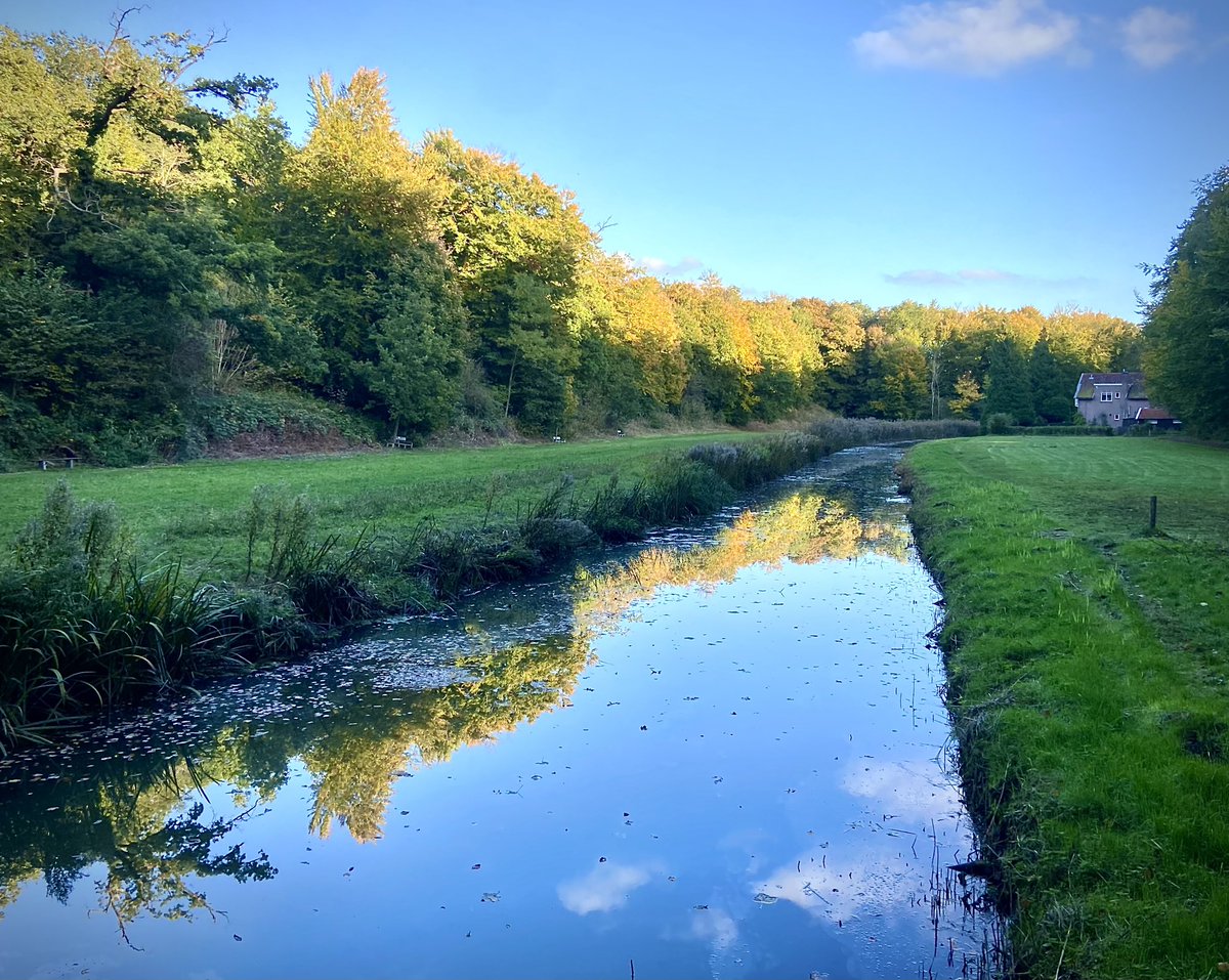 BloemendaalE's tweet photo. @jolandabrwr #fotochallenge #fot_O_ktober #vandaag
Een herfstdag met een gouden randje in #Middenduin. https://t.co/H9oLCamJxJ