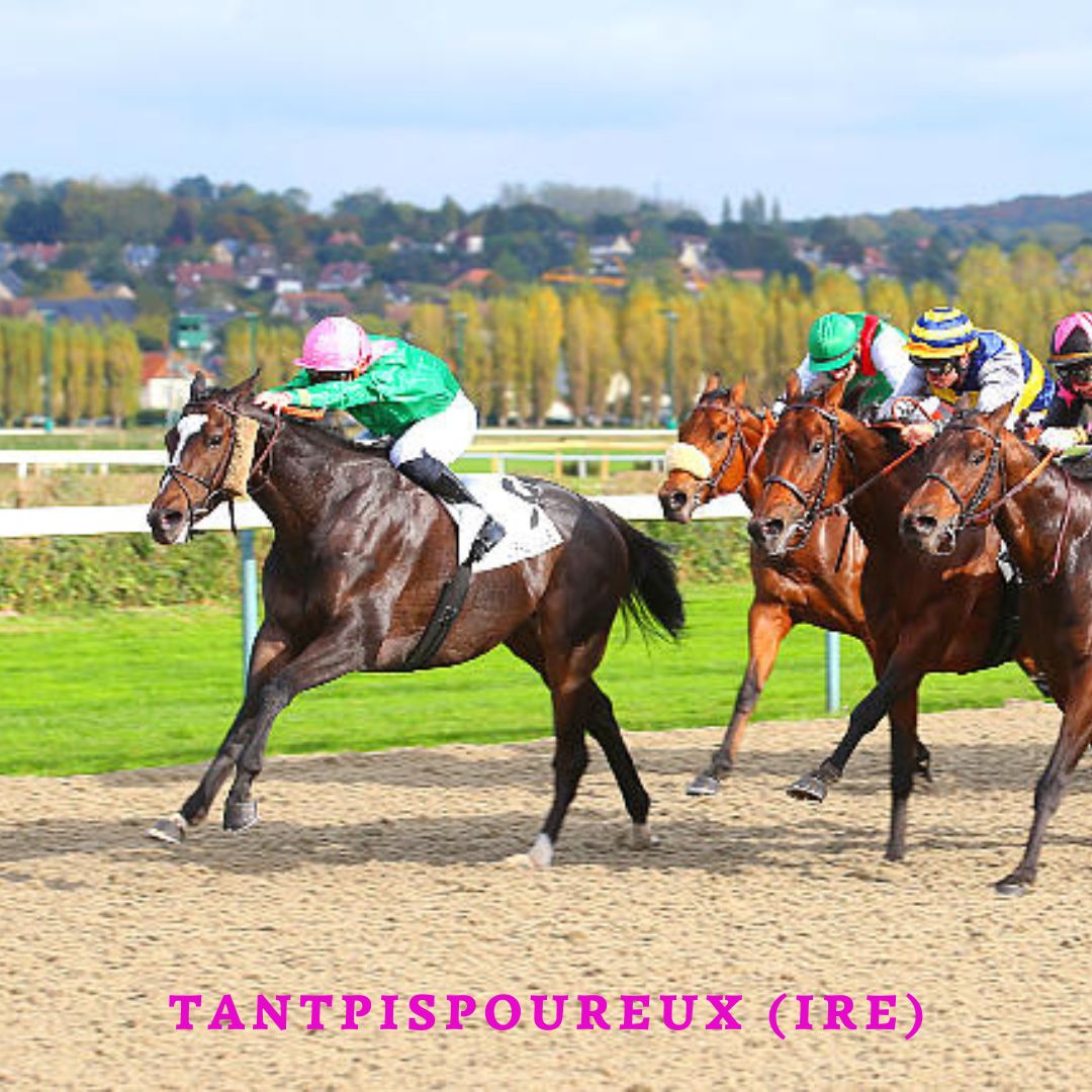 𝐅𝐫𝐚𝐧𝐜𝐢𝐬-𝐇𝐞𝐧𝐫𝐢 𝐆𝐫𝐚𝐟𝐟𝐚𝐫𝐝 tweet media