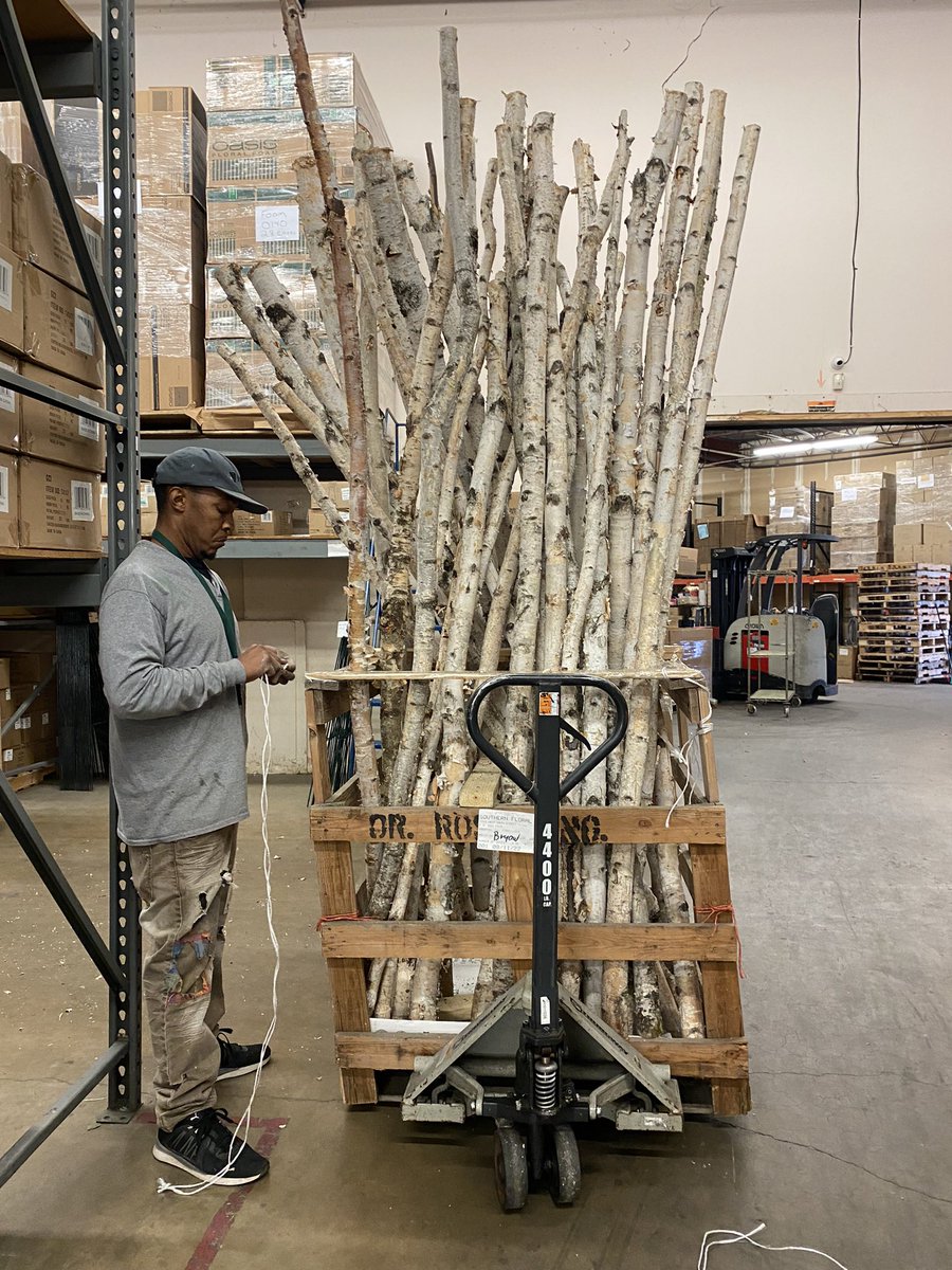 sofloco's tweet image. Birch @sofloco