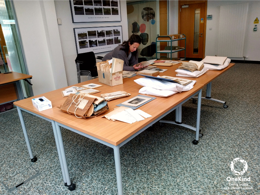 onekindtweet's tweet photo. Thank you so much to the amazing team @OneHealthCRC for showing us their work today conserving, archiving &amp; digitising records of our work over the years. 👏

We've been working to end cruelty to animals for over 100 years, so there's lots of fascinating material to sift through! https://t.co/GpsffEfOu4