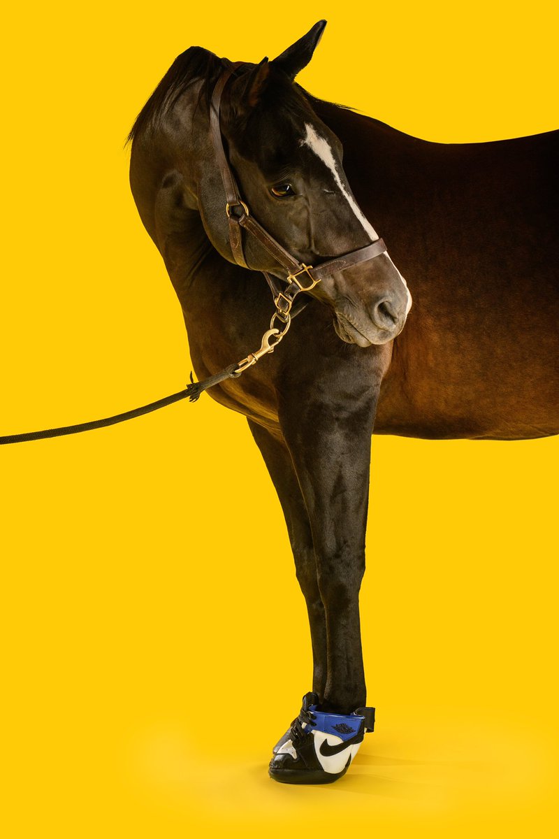 ComplexSneakers's tweet photo. A company called Horse Kicks is really making sneakers for horses 😂🐴 https://t.co/wdrJbvbZqx