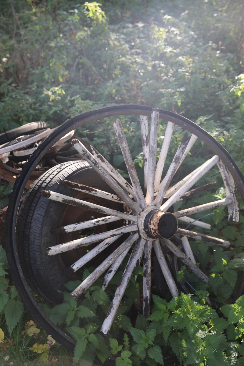 Beautiful autumnal weather at the museum make the most of it every Thursday and Saturday until we close for the winter in December.