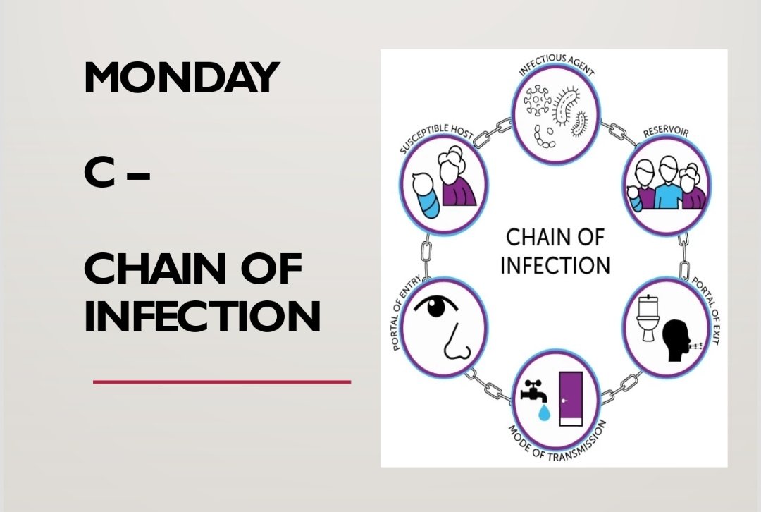 Lyndsey Dunn ( Also on Blue Sky) tweet media