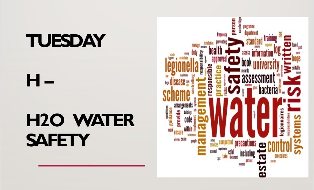 Lyndsey Dunn ( Also on Blue Sky) tweet media