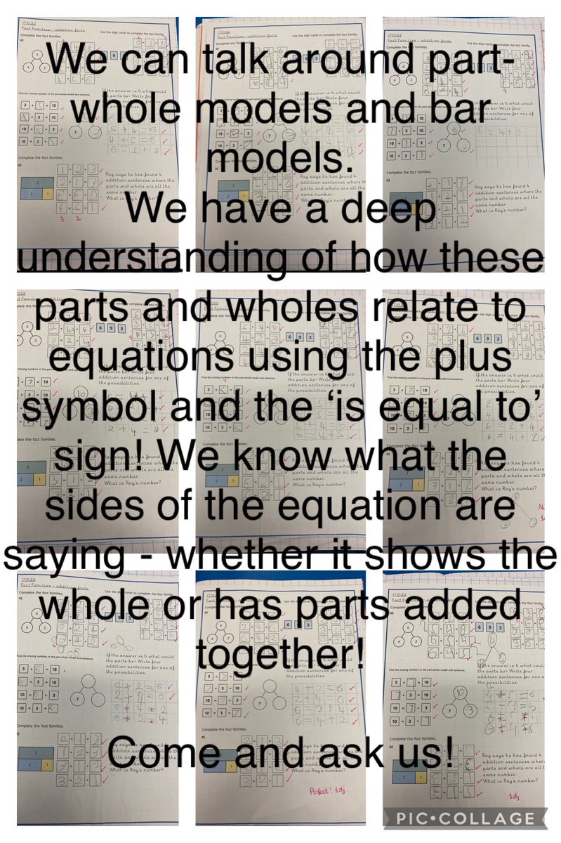 BluebellClassMPA tweet media