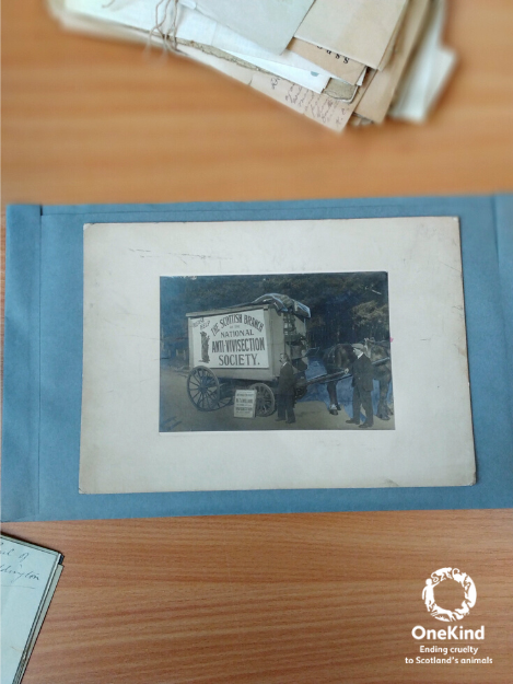 onekindtweet's tweet photo. Thank you so much to the amazing team @OneHealthCRC for showing us their work today conserving, archiving &amp; digitising records of our work over the years. 👏

We've been working to end cruelty to animals for over 100 years, so there's lots of fascinating material to sift through! https://t.co/GpsffEfOu4
