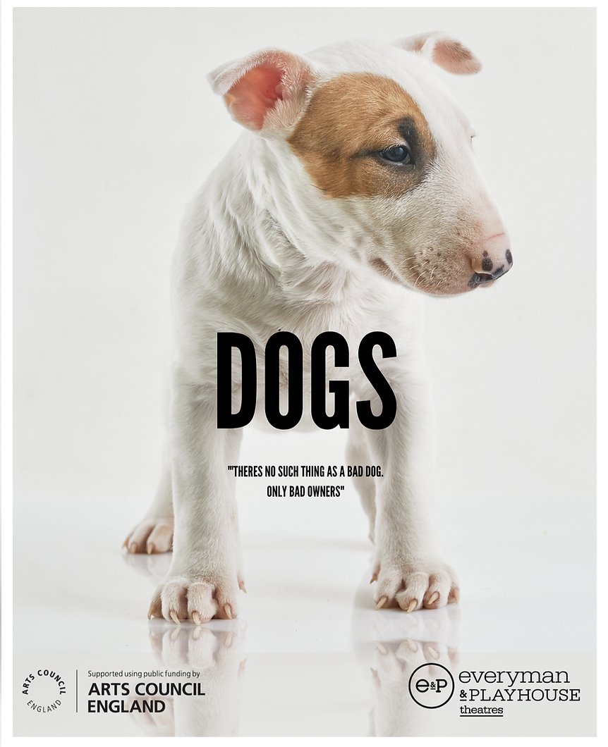 FireFitHub's tweet image. 🍿The performance of DOGS @NewStepTC is coming to FireFit Hub this Thursday for our Youth Zone members. 

DOGS is a thriller set in Liverpool that focuses on the causes of crime and knife crime. We can't wait to guide open, honest and raw discussions with our youth members.