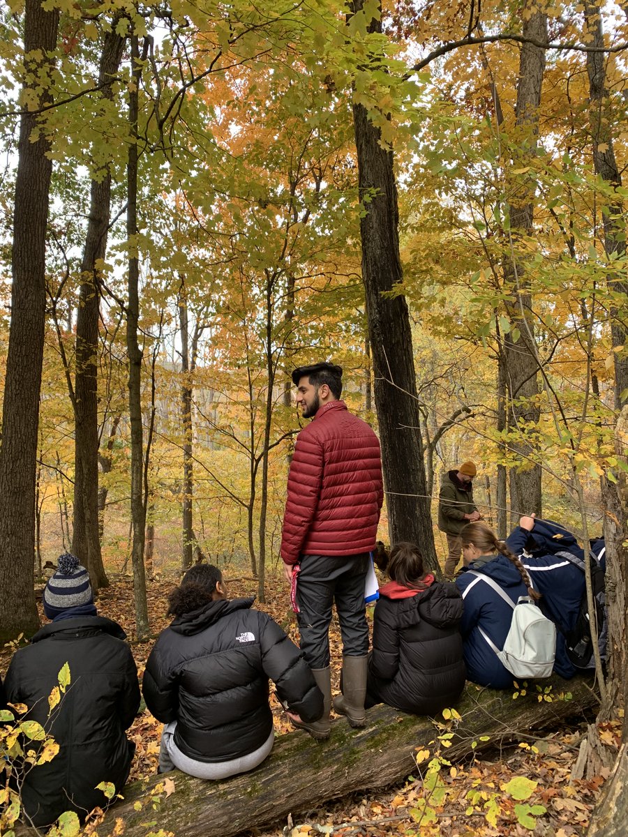 Val LaMore tweet media