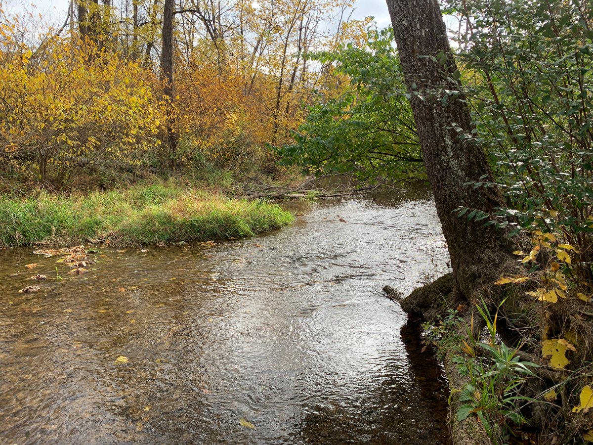 Val LaMore tweet media