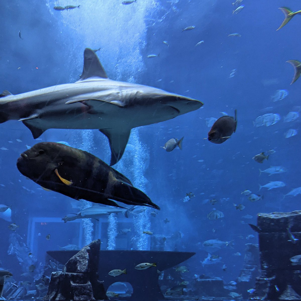 Dan Rossiter FCIAT tweet media