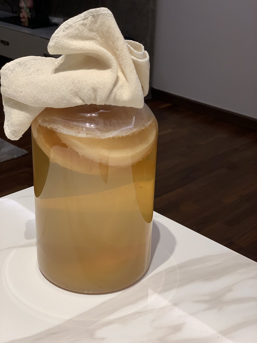 Scoby Scoby Scoby🍵
First time Oolong tea kombucha