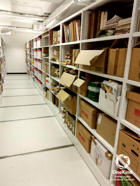 onekindtweet's tweet photo. Thank you so much to the amazing team @OneHealthCRC for showing us their work today conserving, archiving &amp; digitising records of our work over the years. 👏

We've been working to end cruelty to animals for over 100 years, so there's lots of fascinating material to sift through! https://t.co/GpsffEfOu4
